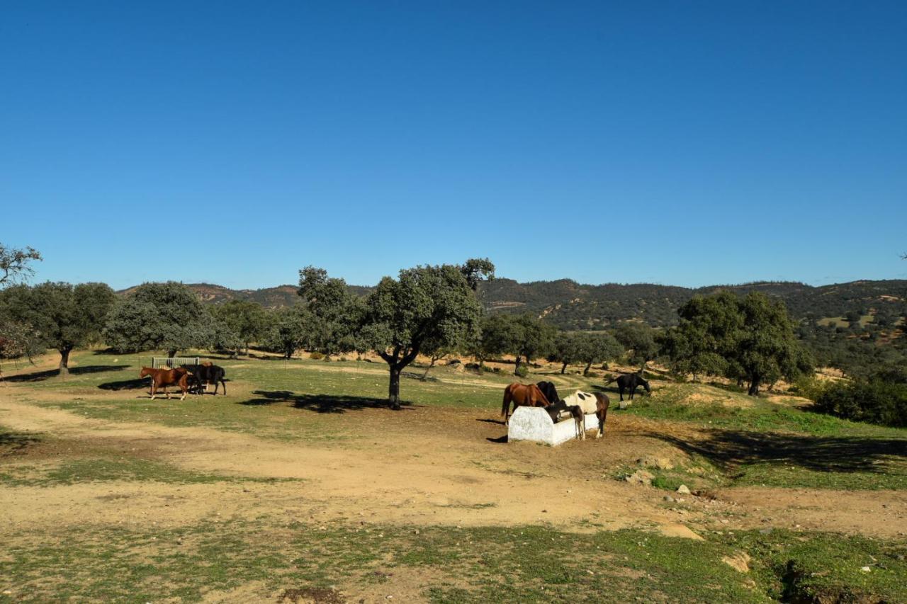 Finca Santa Maria De Las Canadas El Garrobo المظهر الخارجي الصورة